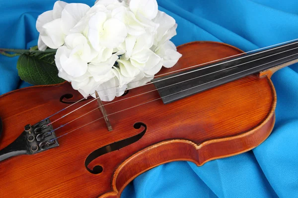 Violino classico su sfondo tessuto — Foto Stock