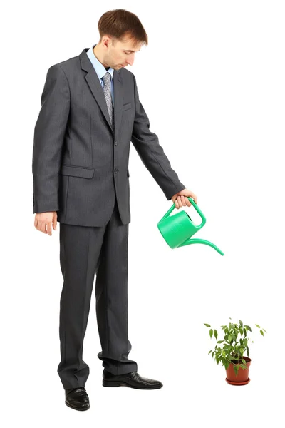 Young businessman watering pot isolated on white — Stock Photo, Image