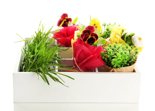 Beautiful spring flowers and grass in wooden crate isolated on white — Stock Photo, Image