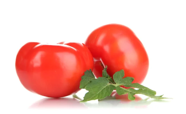Tomates maduros isolados em branco — Fotografia de Stock