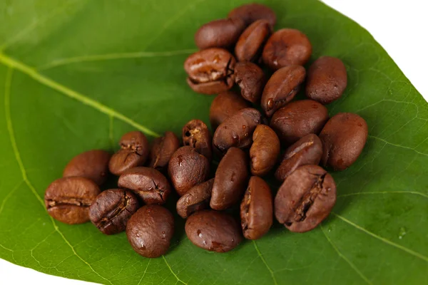 Coffee grains on green leaf close-up — Stock Photo, Image