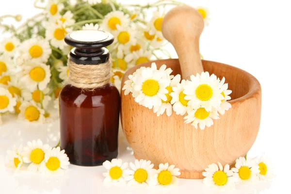 Essential oil and chamomile flowers in mortar close up — Stock Photo, Image