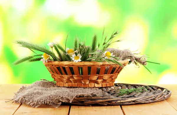 Many spikelets and chamomile on satin in basket on wooden table on nature background — Stock Photo, Image