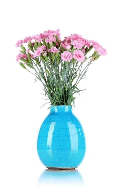 Sok kis rózsaszín szegfűszeg elszigetelt fehér kék vázában — Stock Fotó