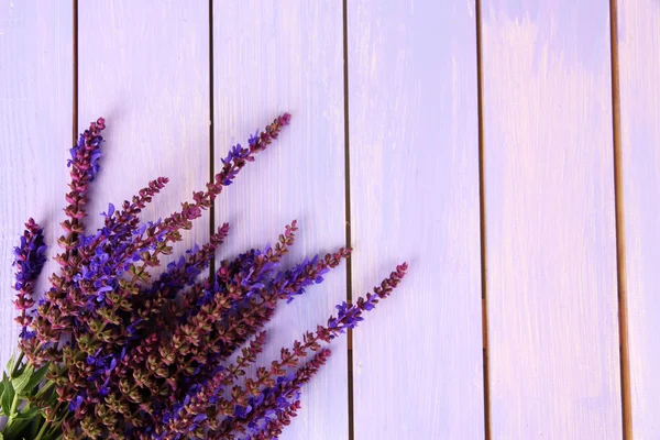 Salvia bloemen op paarse houten achtergrond — Stockfoto