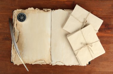 Vieja madera en el bosque