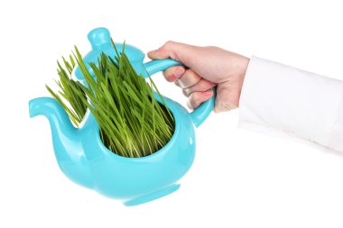 Dekoratif el üzerinde beyaz izole tencereye yeşil çim