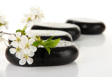 Spa taşlar ve beyaz çiçekler üzerinde beyaz izole