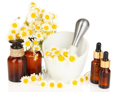 esans ve papatya çiçekleri beyaz izole harcı