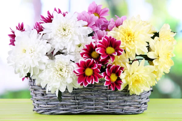 Bouquet de beaux chrysanthèmes dans un panier en osier sur table sur fond lumineux — Photo