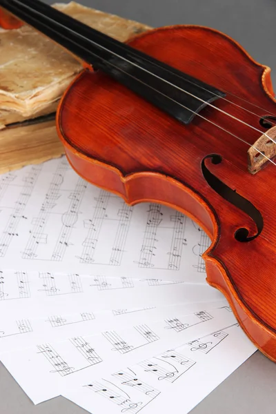 Klassische Geige auf Noten — Stockfoto