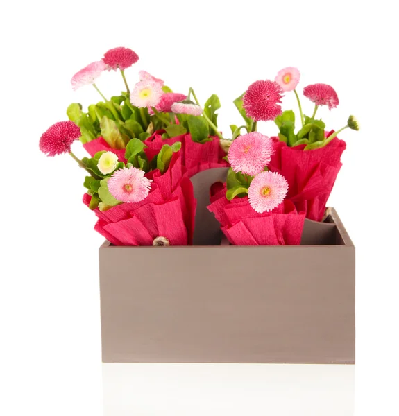 Beautiful spring flowers in wooden crate isolated on white — Stock Photo, Image