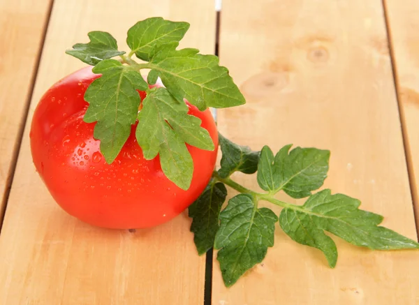 Свежие помидоры на деревянном столе — стоковое фото