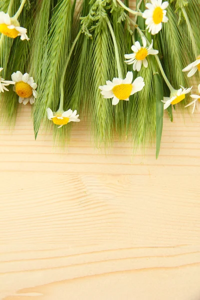 Green spikelets and wild camomiles, on wooden background — Stock Photo, Image