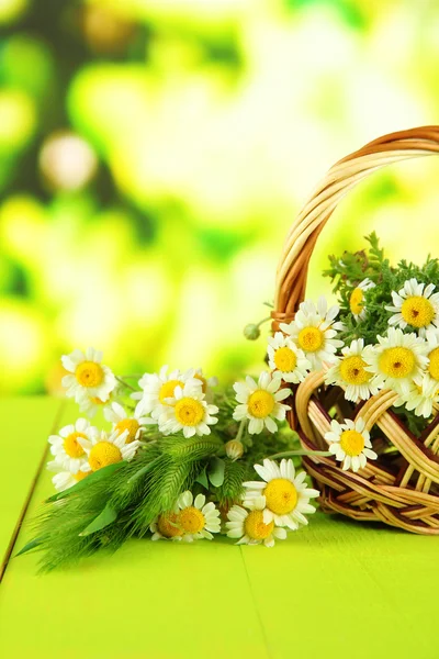 Wild camomiles and spikelets in basket, on green background — Stock Photo, Image