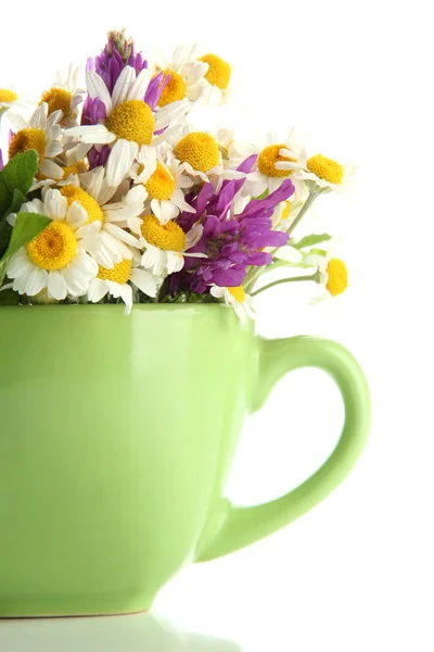 Vackra vilda blommor och mynta i cupen, isolerad på vit — Stockfoto