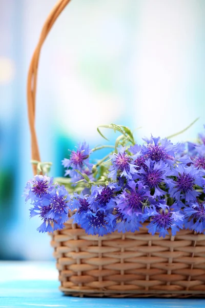 Bellissimo mazzo di fiordalisi in cesto su sfondo blu — Foto Stock