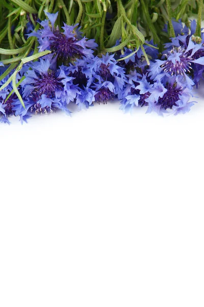 Beautiful bouquet of cornflowers ,isolated on white — Stock Photo, Image