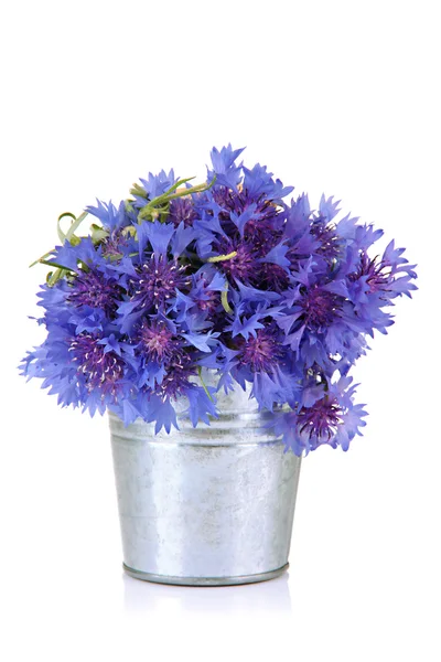 Buquê de flores de milho em balde, isolado em branco — Fotografia de Stock