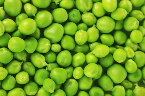 Gros plan sur les petits pois verts — Photo