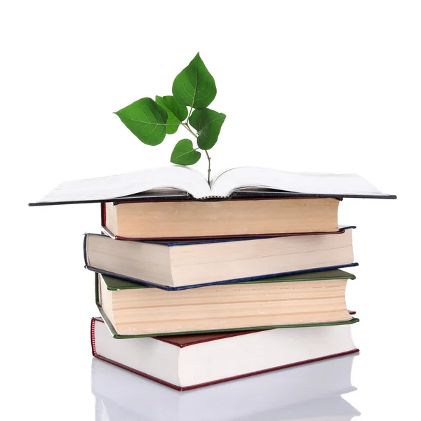 Books with plant isolated on white — Stock Photo, Image
