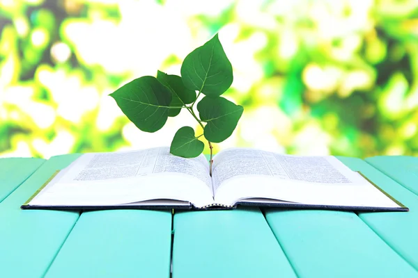 Buch mit Pflanze auf Tisch auf hellem Hintergrund — Stockfoto