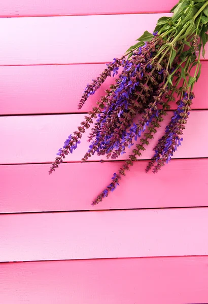サルビアの花ピンクの木製の背景 — ストック写真