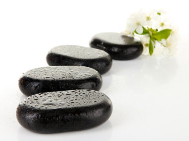 Spa taşlar ve beyaz çiçekler üzerinde beyaz izole