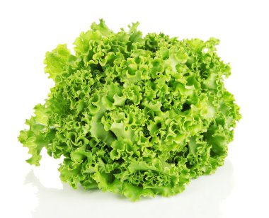 yararlı otlar üzerinde beyaz izole