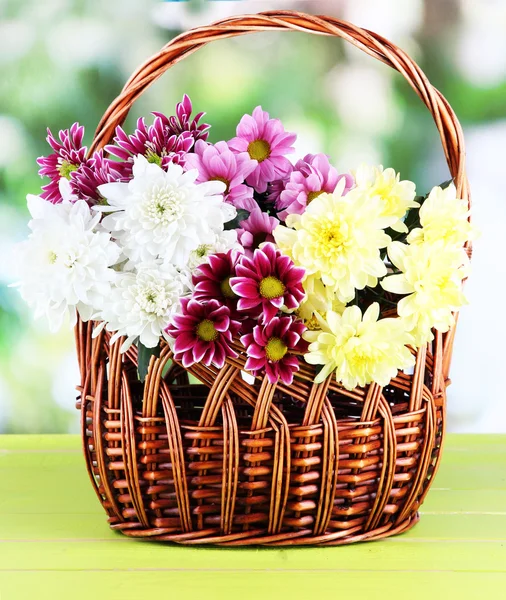 Bouquet of beautiful chrysanthemums in wicker basket on table on bright background — Stock Photo, Image