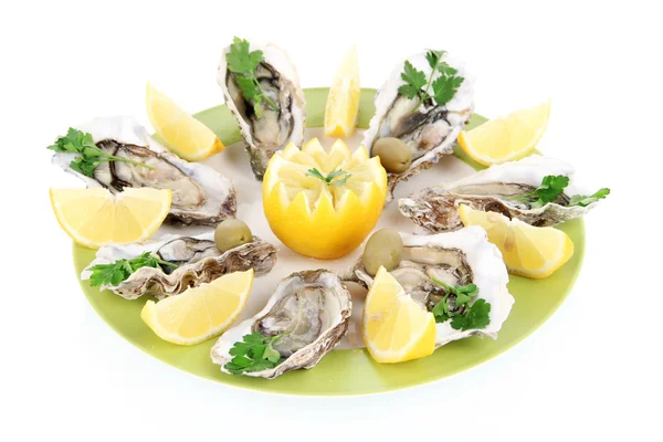 Oesters geïsoleerd op wit — Stockfoto