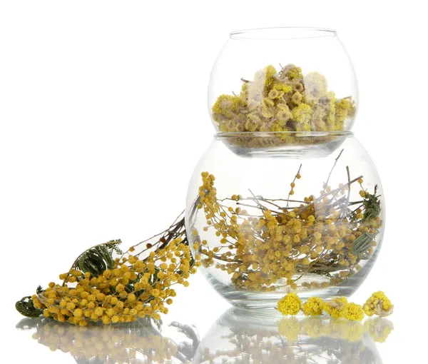 Suszone zioła w szklanych pojemnikach na białym tle — Zdjęcie stockowe