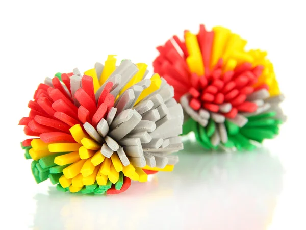 Gummi leksaker för sällskapsdjur isolerad på vit — Stockfoto