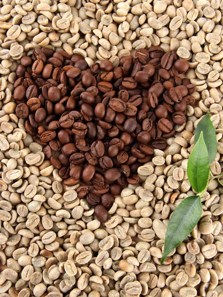 Grains de café verts et bruns avec des feuilles — Photo