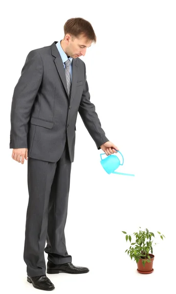 Young businessman watering pot isolated on white — Stock Photo, Image