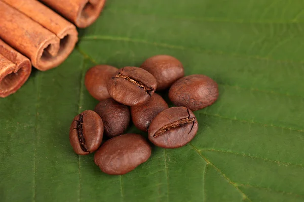 Kávové zrna a skořice v žíně na zelené listy close-up — Stock fotografie