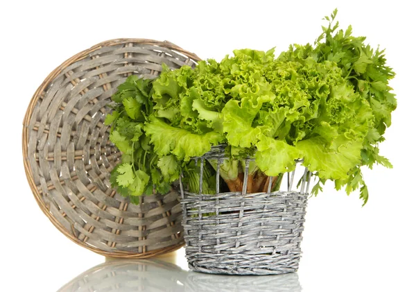 Useful herbs isolated on white — Stock Photo, Image