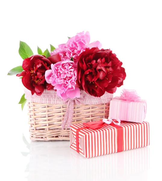 Beautiful peonies in wicker basket isolated on white — Stock Photo, Image