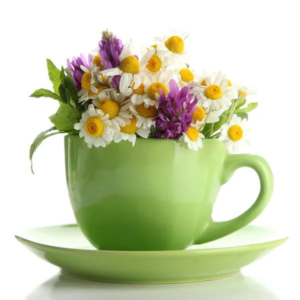 Prachtige wilde bloemen en munt in cup, geïsoleerd op wit — Stockfoto