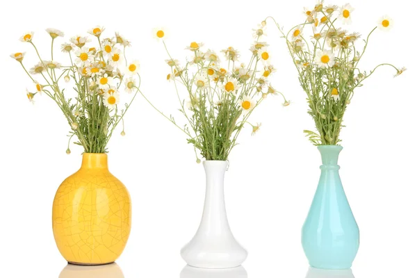 Kleine Kamillen in der Vase isoliert auf weiß — Stockfoto