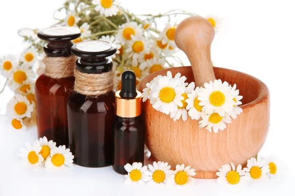 Essential oil and chamomile flowers in mortar close up — Stock Photo, Image