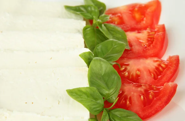 Sheep milk cheese, with basil and tomato, close-up — Stock Photo, Image