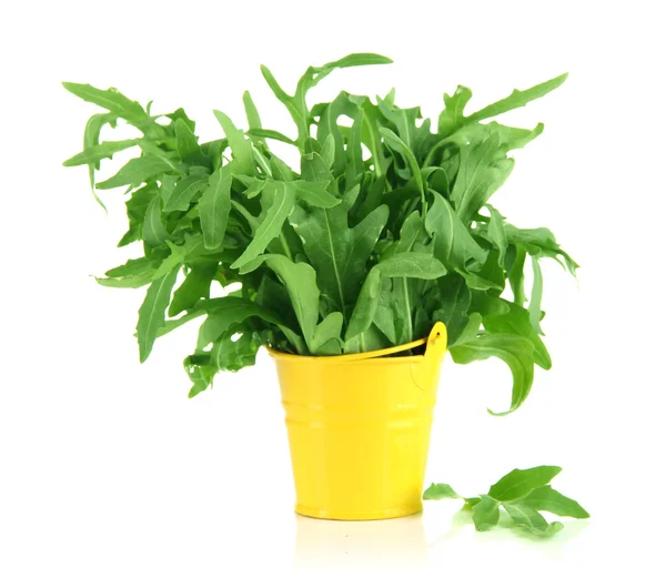 Fresh herb in colorful pail isolated on white — Stock Photo, Image