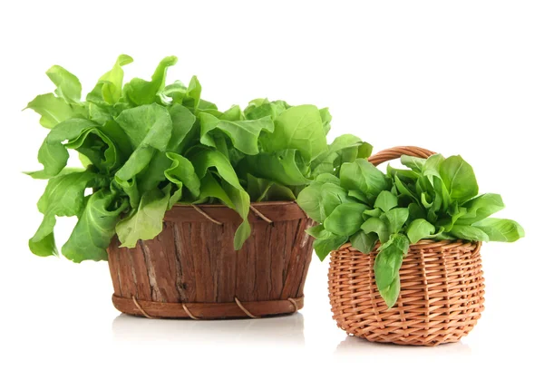 Fresh herbs in baskets isolated on white — Stock Photo, Image