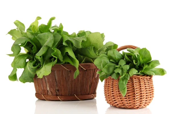 Fresh herbs in baskets isolated on white — Stock Photo, Image