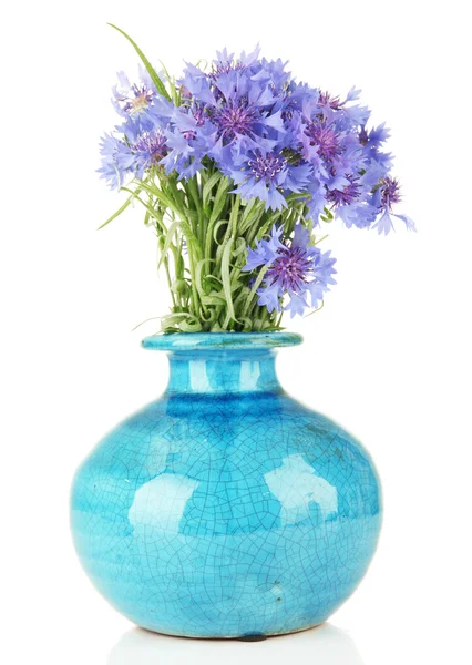 Beautiful bouquet of cornflowers in vase, isolated on white — Stock Photo, Image