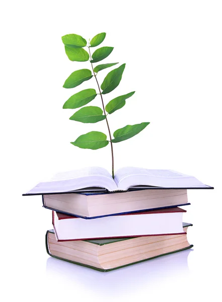 Bücher mit Pflanzen isoliert auf weiß — Stockfoto