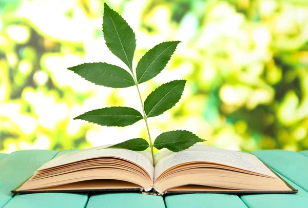 Buch mit Pflanze auf Tisch auf hellem Hintergrund — Stockfoto