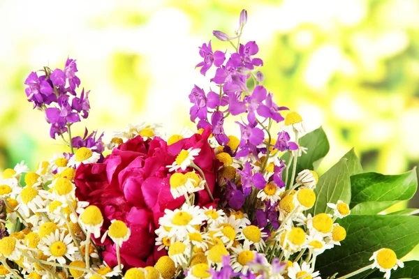 Buquê de flores silvestres, no fundo brilhante — Fotografia de Stock