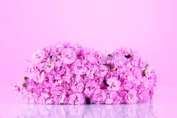 Beaucoup de petites clous de girofle roses sur fond rose — Photo